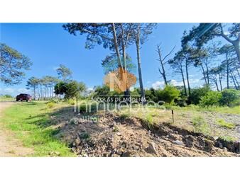 https://www.gallito.com.uy/venta-terreno-en-reserva-montoya-usd-310000-inmuebles-27363241