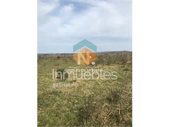 https://www.gallito.com.uy/campo-en-abra-del-perdomo-maldonado-inmuebles-25038067