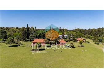 https://www.gallito.com.uy/venta-campo-60h-casco-y-galpones-en-fray-bentos-inmuebles-27370151