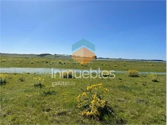 https://www.gallito.com.uy/campo-agricola-ganadero-en-rocha-inmuebles-27370172