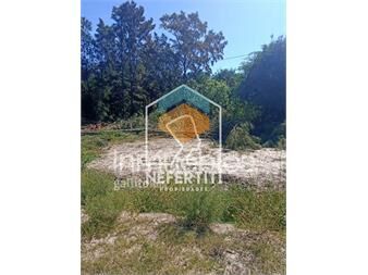 https://www.gallito.com.uy/hermoso-terreno-proximo-al-mar-inmuebles-24614562