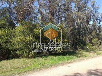 https://www.gallito.com.uy/venta-terreno-en-bella-vista-a-tan-solo-500-del-inmuebles-24614453