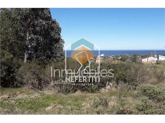https://www.gallito.com.uy/venta-terrenos-cerca-del-mar-en-punta-fria-inmuebles-24614208