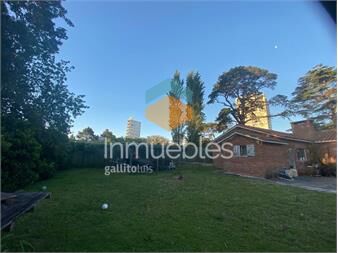 https://www.gallito.com.uy/local-comercial-en-alquiler-punta-del-este-inmuebles-27373823