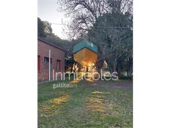 https://www.gallito.com.uy/chacra-ubicada-en-las-cercanias-de-colonia-valdense-inmuebles-27162118