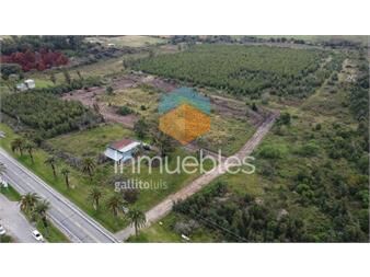 https://www.gallito.com.uy/venta-de-terrenos-por-ruta-1-financiacion-inmuebles-26457305