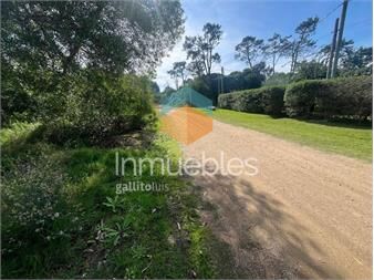 https://www.gallito.com.uy/venta-gran-terreno-en-ocean-park-inmuebles-27374088