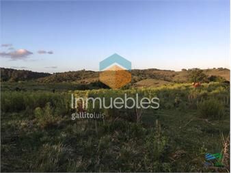 https://www.gallito.com.uy/28-has-garzon-a-solo-10-kms-del-pueblo-inmuebles-27374370