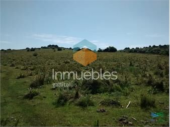https://www.gallito.com.uy/26-has-garzon-a-10-kms-del-pueblo-inmuebles-27374372