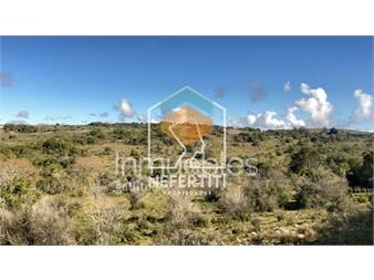 https://www.gallito.com.uy/campo-90-hectareas-ideal-para-barrio-privado-inmuebles-27374513