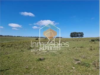 https://www.gallito.com.uy/25-hectareas-en-ruta-9-y-camino-de-los-ceibos-inmuebles-27374532