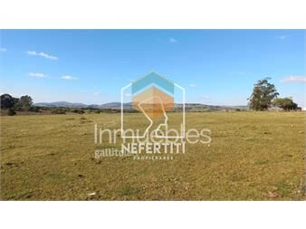 https://www.gallito.com.uy/campo-10ha-a-5km-de-pueblo-eden-inmuebles-27374553