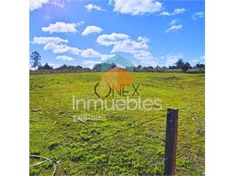 https://www.gallito.com.uy/venta-de-chacra-en-canelon-chico-inmuebles-27374764