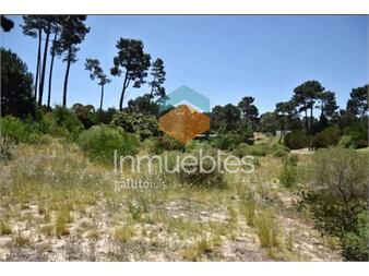 https://www.gallito.com.uy/venta-de-lote-en-acres-de-solanas-punta-ballena-inmuebles-26386412