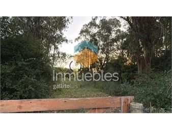 https://www.gallito.com.uy/venta-de-terreno-en-san-luis-inmuebles-27378040