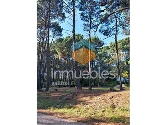 https://www.gallito.com.uy/terreno-en-solanas-1270-m2-inmuebles-27378185
