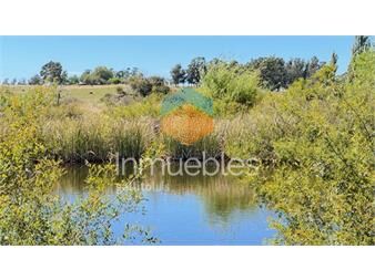 https://www.gallito.com.uy/campo-17-has-con-9550-m2-con-costa-de-arroyo-inmuebles-26302447