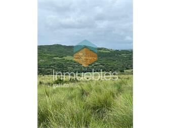 https://www.gallito.com.uy/campo-en-paso-de-la-cantera-inmuebles-22909902