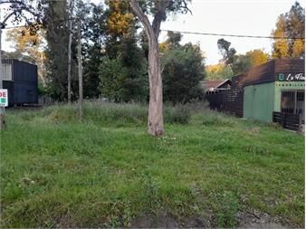 https://www.gallito.com.uy/terreno-en-el-sueño-inmuebles-27156101