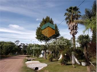 https://www.gallito.com.uy/mar-a-media-cuadra-inmuebles-27378670