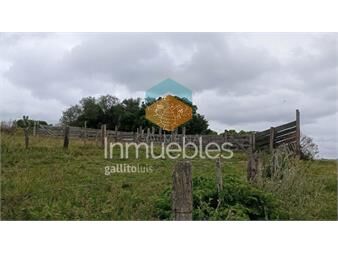 https://www.gallito.com.uy/campo-en-la-coronilla-con-casco-inmuebles-26818404