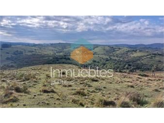 https://www.gallito.com.uy/campo-de-80-has-en-paraje-carape-con-costa-de-inmuebles-23926964