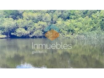 https://www.gallito.com.uy/campo-de-11-has-en-los-ceibos-con-2-casas-a-15-km-inmuebles-27382654