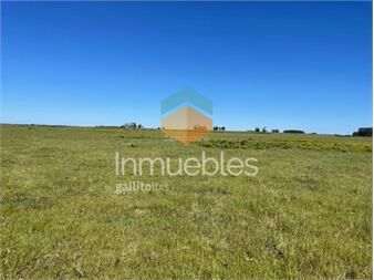 https://www.gallito.com.uy/estancia-arrocera-i-rocha-i-ha-1650-ic56-inmuebles-26845160