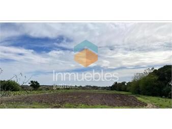 https://www.gallito.com.uy/campo-en-venta-paso-de-la-arena-inmuebles-27007797