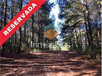 https://www.gallito.com.uy/chacra-paraje-arazati-inmuebles-27156297