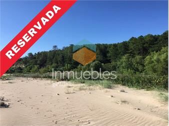 https://www.gallito.com.uy/chacra-paraje-arazati-inmuebles-27156298