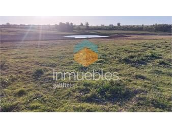 https://www.gallito.com.uy/campo-5-has-con-tres-lagos-pasa-la-luz-inmuebles-23926929