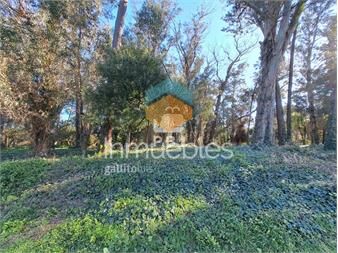 https://www.gallito.com.uy/excelente-oportunidad-de-inversion-el-golf-inmuebles-25643763