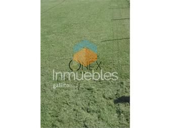 https://www.gallito.com.uy/casa-en-montevideo-montevideo-inmuebles-27383840