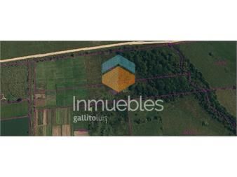 https://www.gallito.com.uy/venta-campo-de-2ha-3887-m²-a-1-cuadra-de-ruta-75-inmuebles-25640437