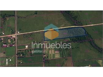 https://www.gallito.com.uy/venta-campo-de-3ha-6894-m²-a-1-cuadra-de-ruta-75-inmuebles-26114218