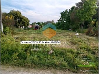 https://www.gallito.com.uy/terreno-en-venta-ubicado-en-25-de-mayo-florida-inmuebles-26597790