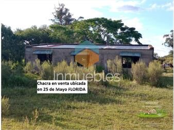https://www.gallito.com.uy/chacra-en-venta-ubicada-en-25-de-mayo-florida-inmuebles-26597714