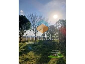 https://www.gallito.com.uy/se-vende-chacra-con-2-casas-y-galpones-migues-inmuebles-26946101