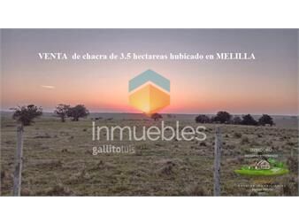 https://www.gallito.com.uy/venta-de-chacra-de-34-hectareas-en-melilla-inmuebles-26852329