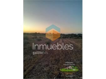 https://www.gallito.com.uy/venta-de-campo-4-y-un-cuarto-de-hectareas-en-de-inmuebles-27032106