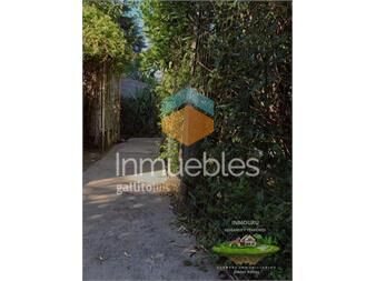 https://www.gallito.com.uy/venta-de-hermosa-y-amplia-casa-en-el-departamento-inmuebles-27069043