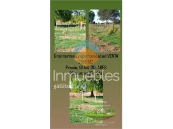 https://www.gallito.com.uy/venta-de-terreno-en-25-de-mayo-florida-inmuebles-27162233