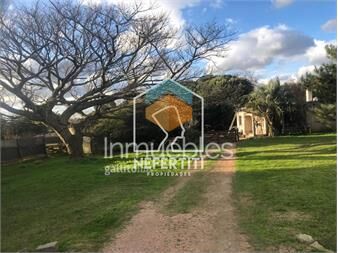 https://www.gallito.com.uy/casa-2-dormitorios-en-colonia-nicolich-inmuebles-25972187