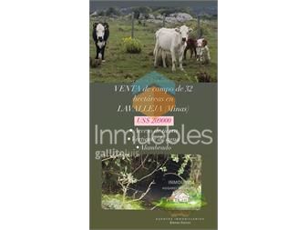 https://www.gallito.com.uy/venta-de-campo-en-lavalleja-minas-inmuebles-27246206