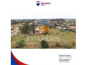 https://www.gallito.com.uy/excelente-terreno-en-avenidas-inmuebles-27388009