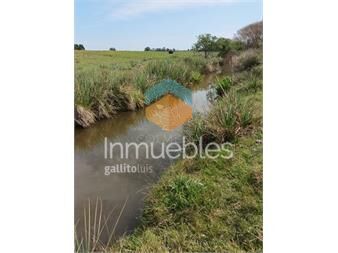 https://www.gallito.com.uy/campo-en-paraje-jose-ignacio-cerca-de-la-ruta-9-inmuebles-27392200