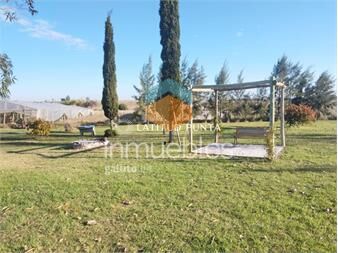 https://www.gallito.com.uy/chacra-en-san-jacinto-inmuebles-27392389