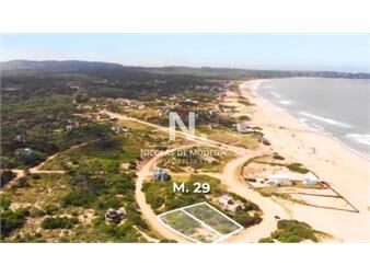 https://www.gallito.com.uy/terreno-en-venta-de-1000m2-en-punta-ballena-inmuebles-27230348