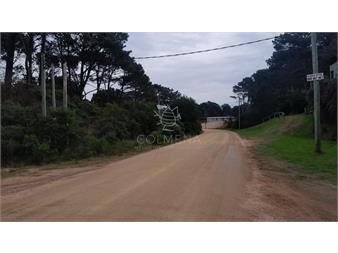 https://www.gallito.com.uy/terreno-en-chihuahua-inmuebles-26621574